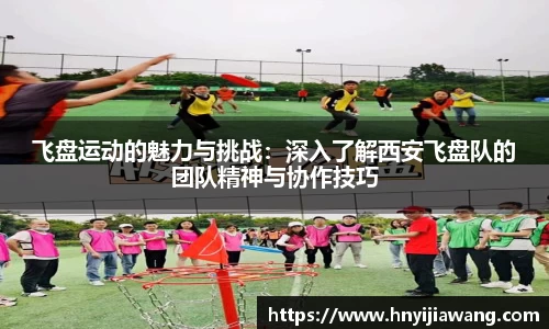 中欧体育官网